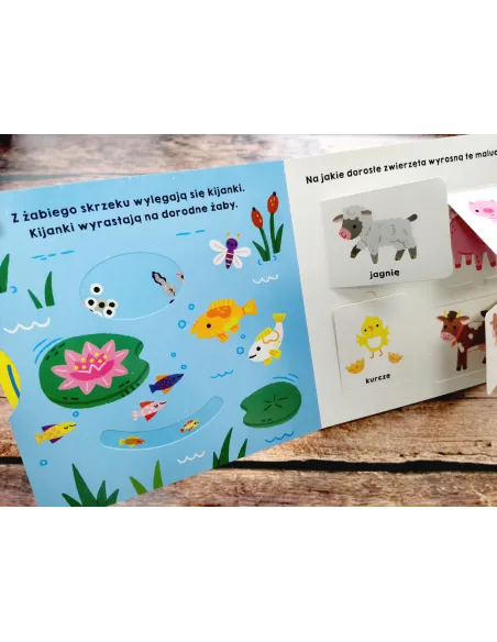 Książki i kolorowanki dla dzieci