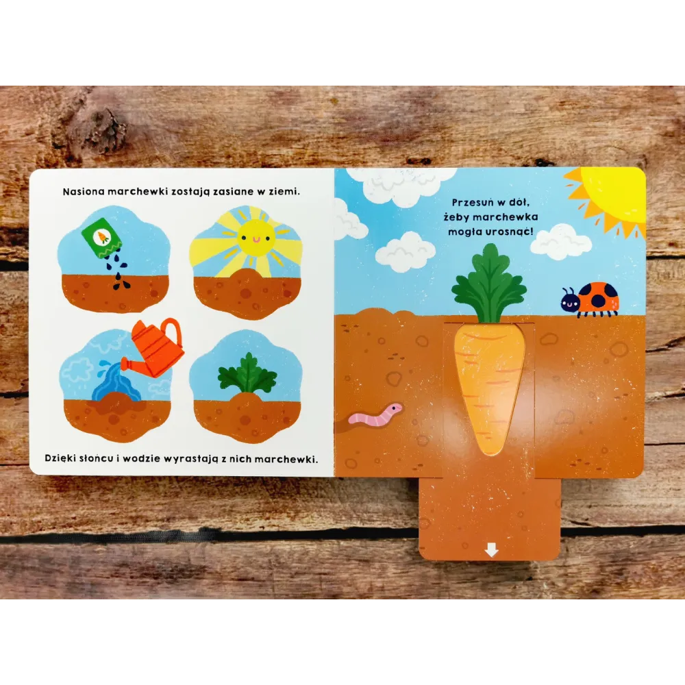 Książki i kolorowanki dla dzieci