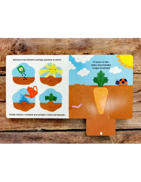 Książki i kolorowanki dla dzieci