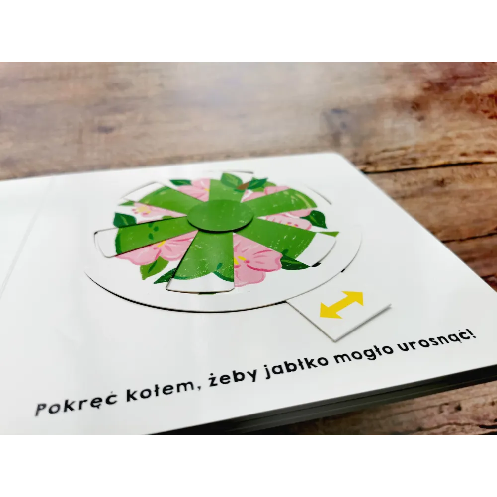 Książki i kolorowanki dla dzieci