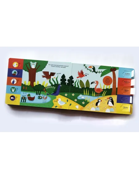 Książki i kolorowanki dla dzieci