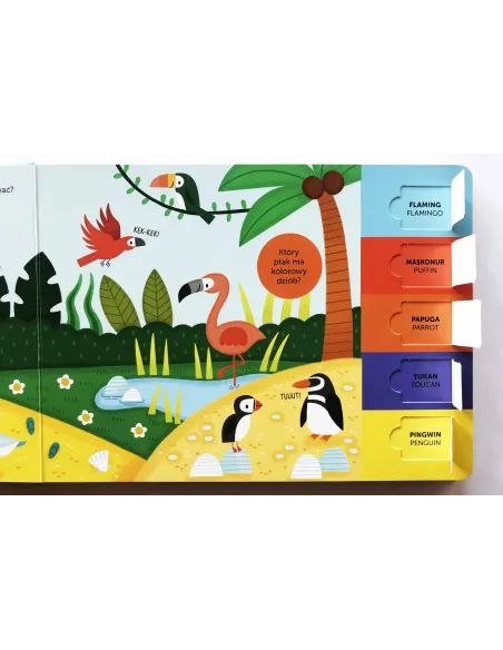 Książki i kolorowanki dla dzieci