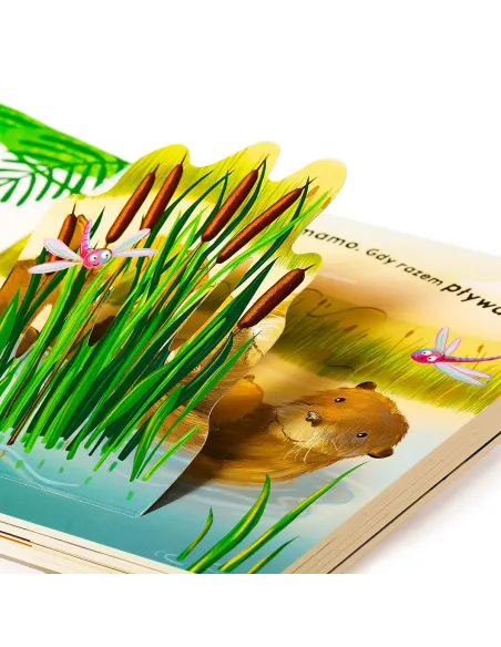 Książki i kolorowanki dla dzieci