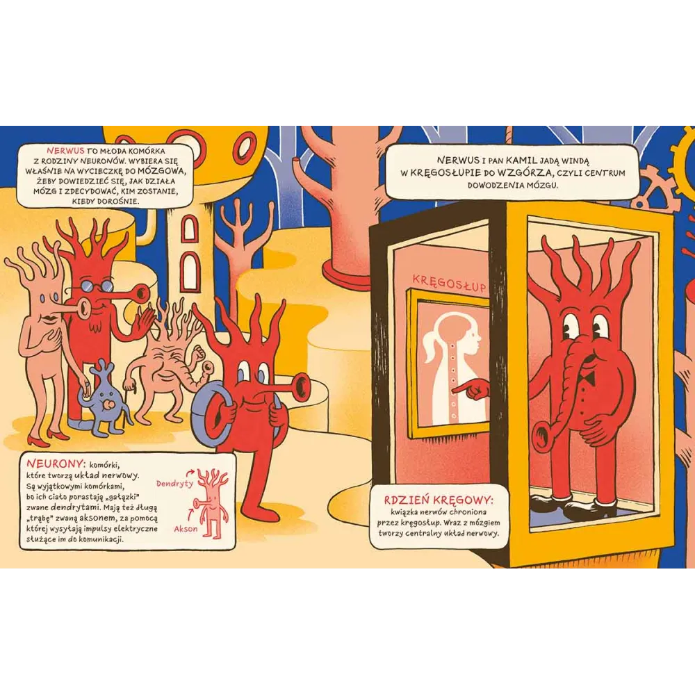 Książki i kolorowanki dla dzieci