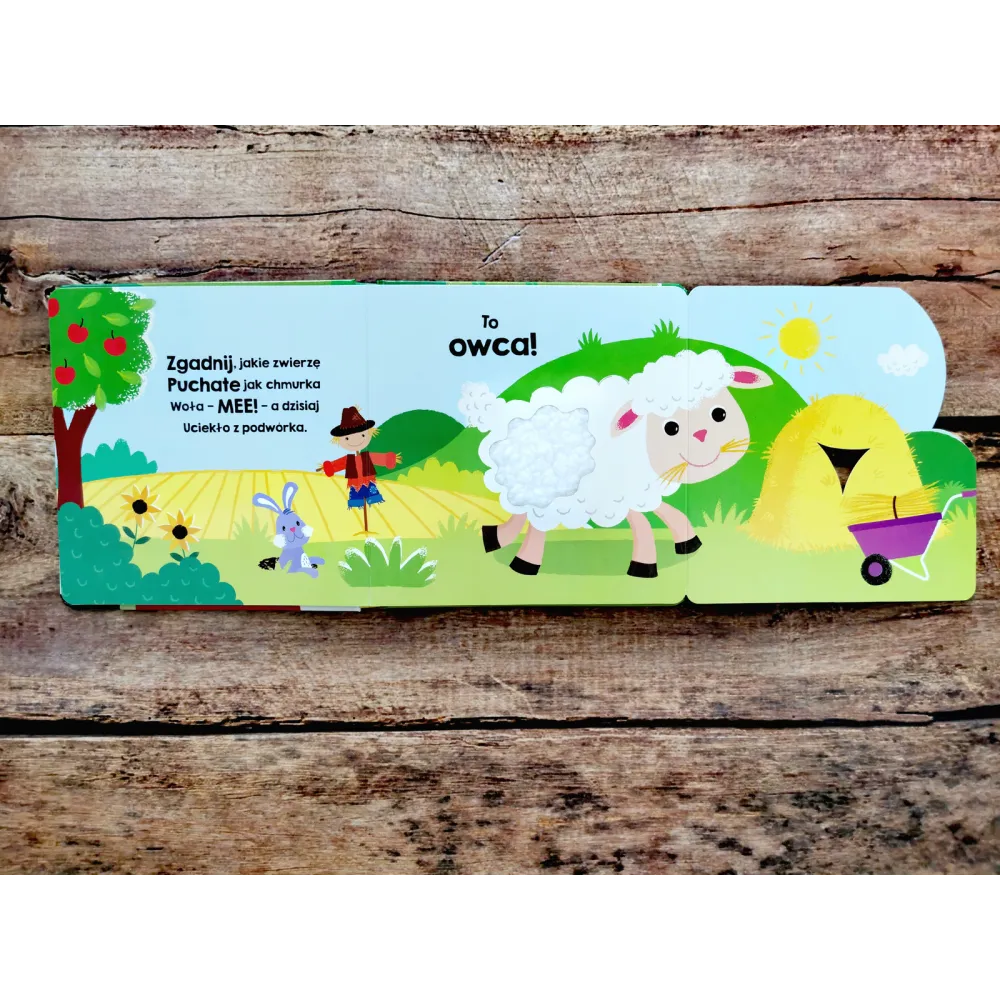 Książki i kolorowanki dla dzieci