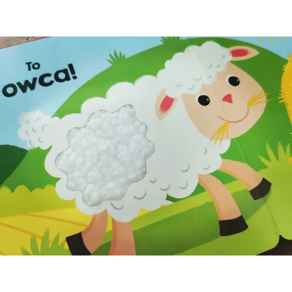 Książki i kolorowanki dla dzieci