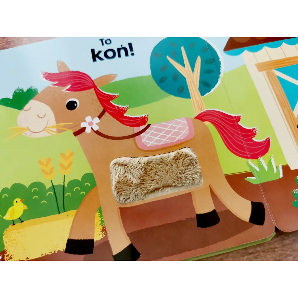 Książki i kolorowanki dla dzieci