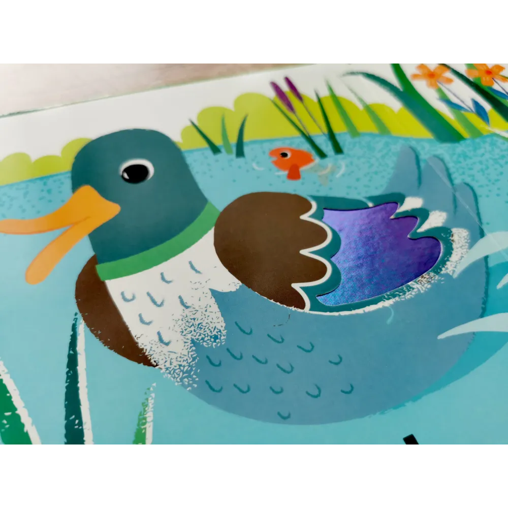 Książki i kolorowanki dla dzieci