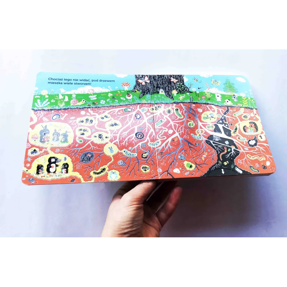 Książki i kolorowanki dla dzieci