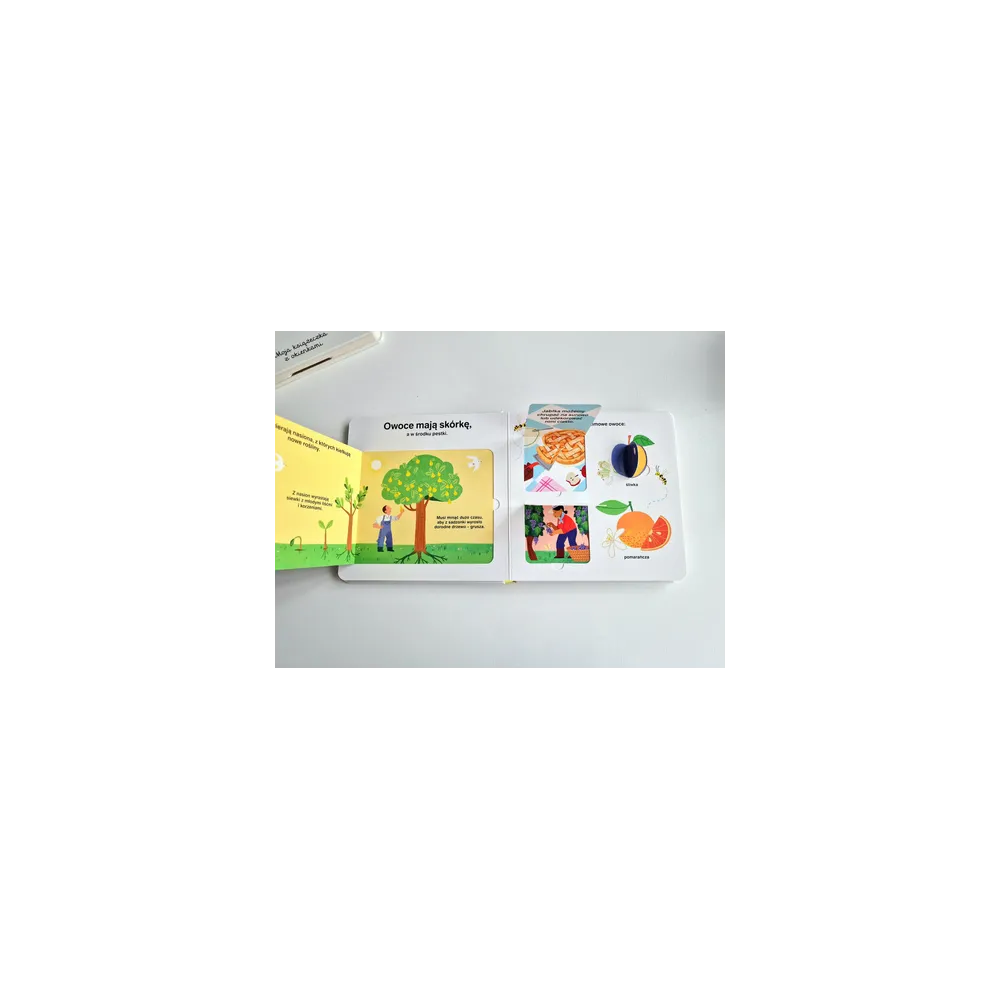 Książki i kolorowanki dla dzieci