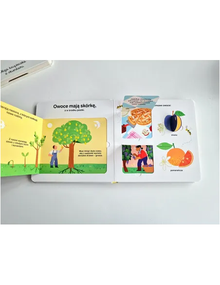 Książki i kolorowanki dla dzieci