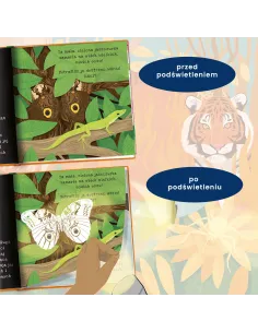 Książka Podświetl i Odkryj Sztuka kamuflażu zwierząt Api Papi 2