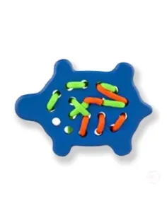 LOBITO Przeszywanka ŻÓŁW-NIEBIESKI