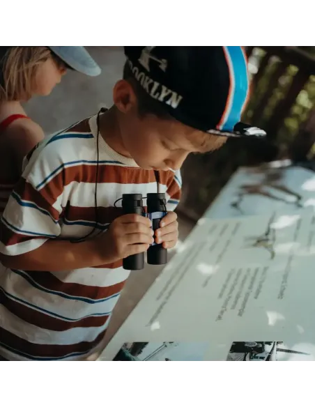 Zabawki edukacyjne dla dzieci