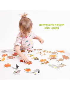 Puzzle progresywne Zwierzątka w lesie 2+ CzuCzu 2